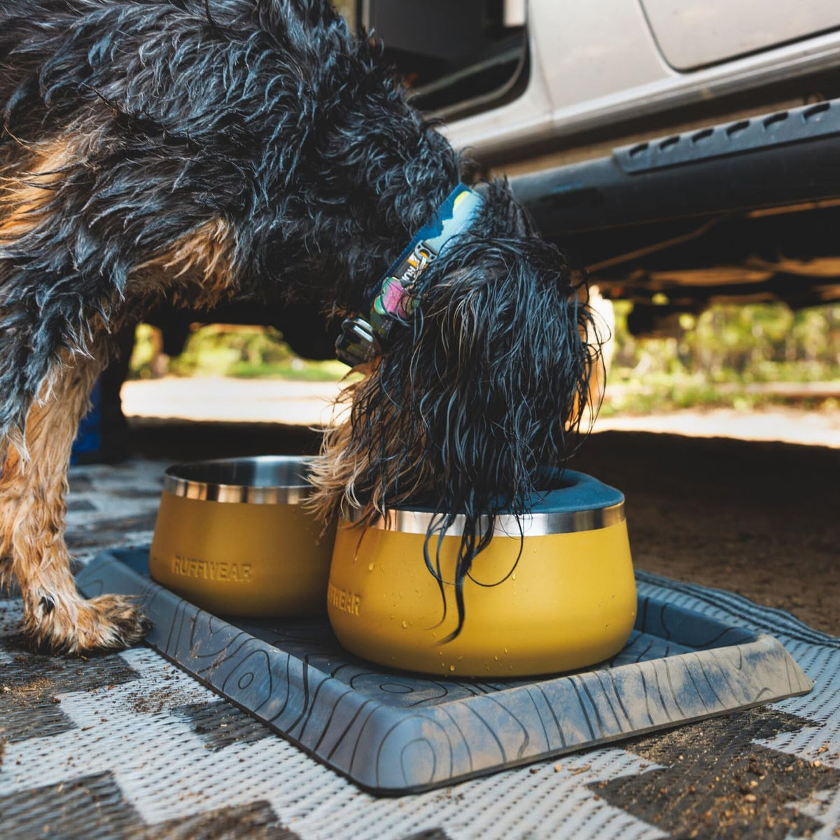 Ruffwear Basecamp Stainless Steel Dog Bowl - Cattail Tan