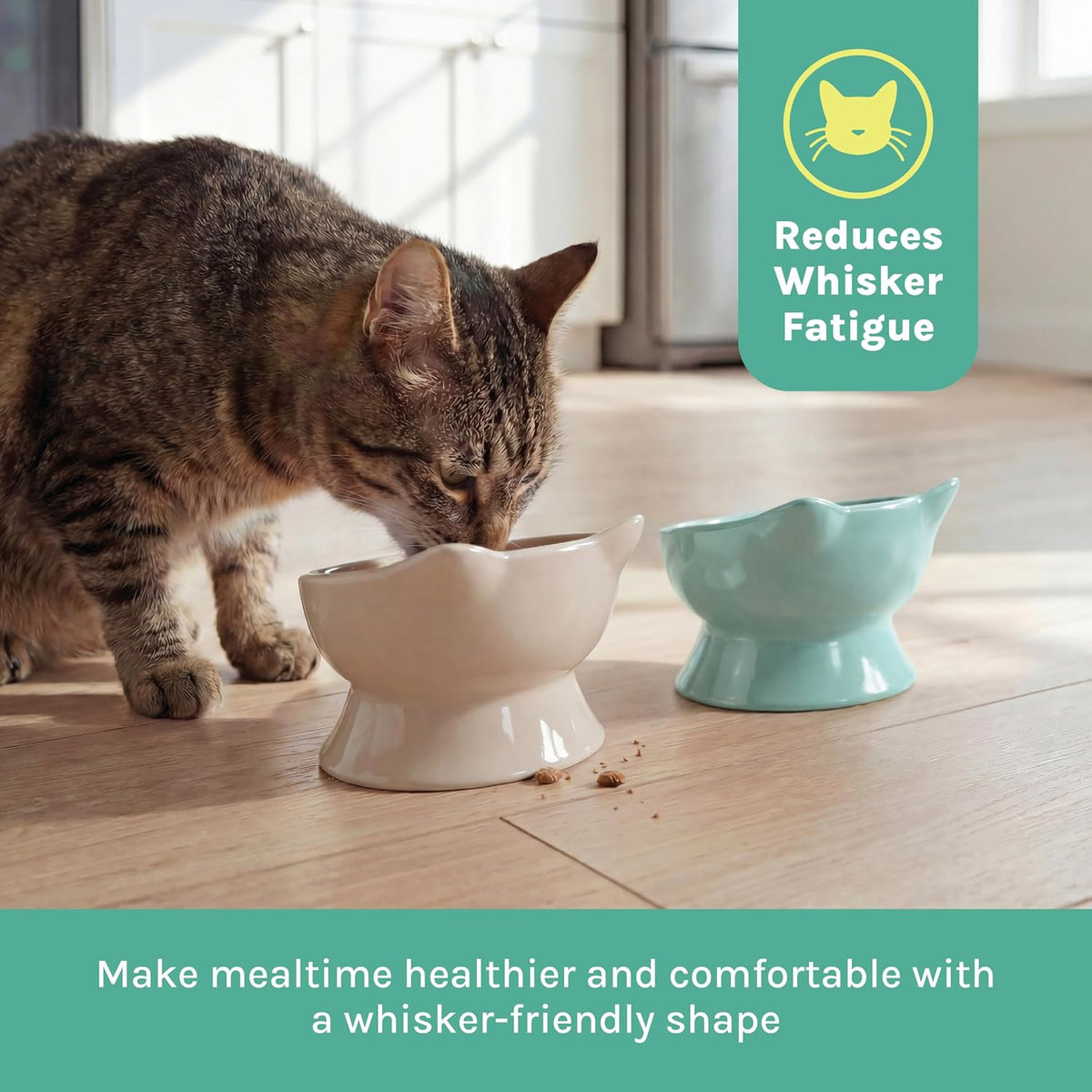 Kitty City Elevated Cat Bowls Set of 2 - Beige & Teal